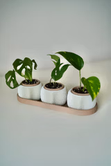 Triolam mini pottesett med fat