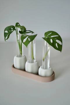 Propagia vase til stiklinger