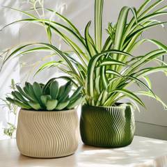 Zenform - Potte wavy